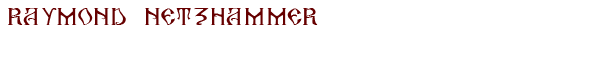 RAYMOND NETZHAMMER